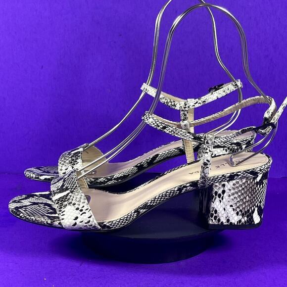 Pelle Moda Snake Print Alicia Open Toe Block Heeled Sandal Shoe Size 10M-NEW - Picture 3 of 9